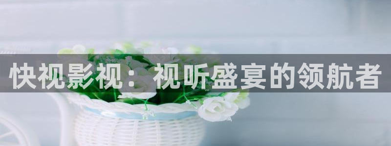 美剧越狱第二季在线观看高清不卡：快视影视：视听盛宴的领航者