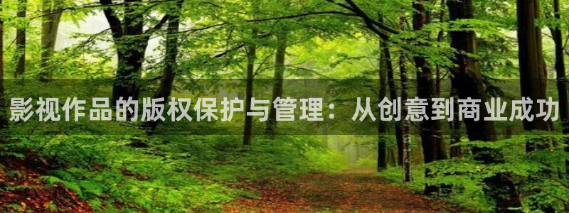 我不卡影院神马影院：影视作品的版权保护与管理：从创意到商业成功
