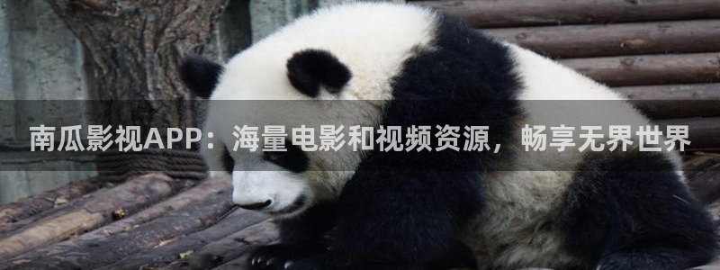不卡视频免费观看：南瓜影视APP：海量电影和视频资源，畅享无界世界