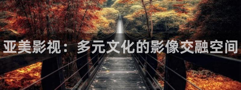 不卡的1级片：亚美影视：多元文化的影像交融空间