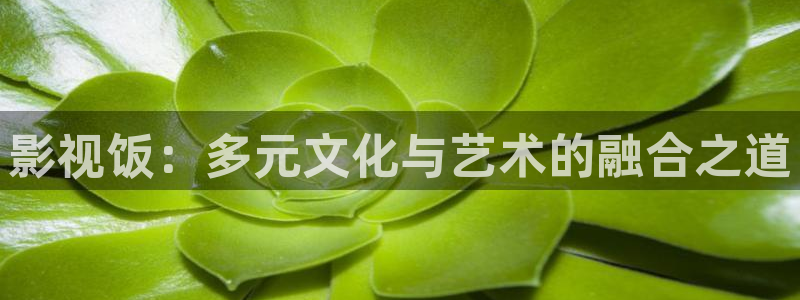 α片不卡：影视饭：多元文化与艺术的融合之道