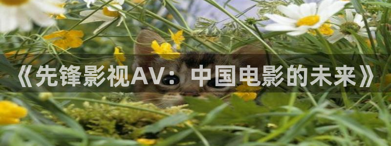 中文不卡日韩视频：《先锋影视AV：中国电影的未来》