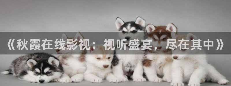福利电影免费在线观看不卡：《秋霞在线影视：视听盛宴，尽在其中》